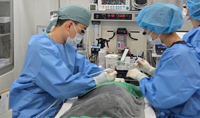 이세원 원장이 반려동물 치아 치료를 하고 있다. 대구바른동물의료센터 제공