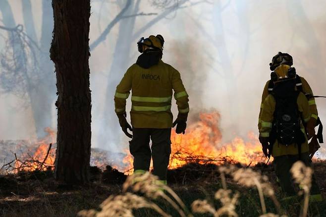 1일(현지시간) 대규모 산불이 발생한 스페인 안달루시아 지역에서 소방관들이 산불진화에 나서고 있다. EPA연합뉴스