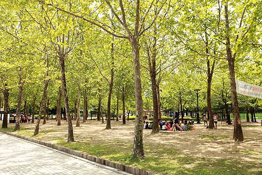 전국 체감온도 33도 폭염특보... 주말 열대야 계속 [오늘날씨]= 토요일인 오늘(5일) 날씨는 중부지방은 대체로 흐리겠으나, 남부지방과 제주도는 가끔 구름 많겠다. 아침(06~09시)까지 경기북동부와 강원내륙.산지에는 가끔 비가 내리는 곳이 있겠다. 아침기온은 21~28도, 낮기온은 29~36도가 되겠다. ©서울, 서울날씨, 오늘날씨, 내일날씨