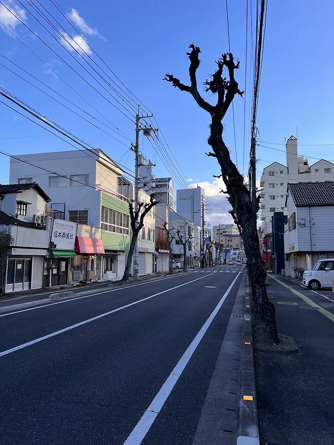 IMG_1796.jpg 일본 랜트카 여행 59일 44일차 , 45일차 고치