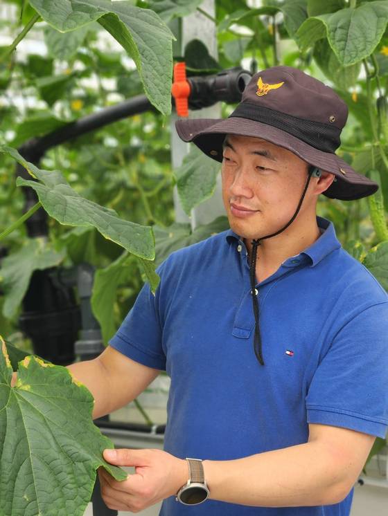 경북 상주시 사벌국면에 조성된 상주 스마트팜 혁신밸리 임대형 소마트팜에 입주한 김동욱씨가 자신이 재배하고 있는 오이를 살펴보고 있다. 김정석 기자