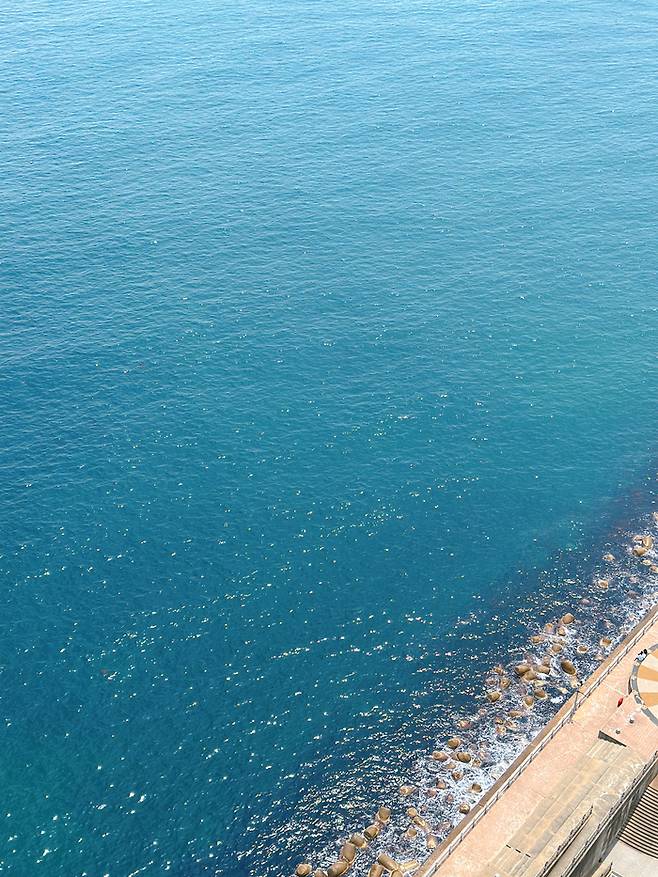 호텔서 바라본 전망 / 사진=권효정 여행+ 기자