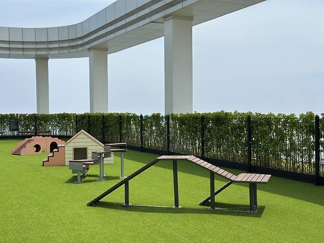 펫 놀이시설 / 사진=권효정 여행+ 기자