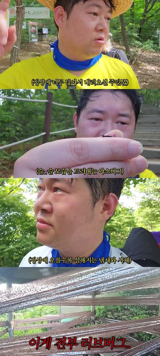 감스트, 계양산 러브버그에 뒤덮인 몸..냄새+사체에 경악 "닭똥 250배"