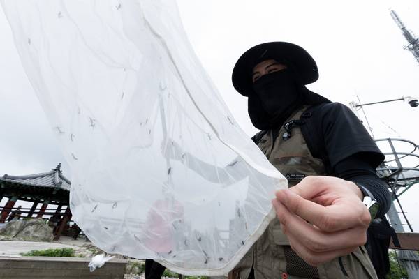 환경부는 4일 계양산에서 계양구청, 국립생물자원관 등 소속기관과 러브버그 방제 작업을 벌였다. 2025.7.4 /환경부 제공