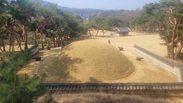 의경세자릉 후면