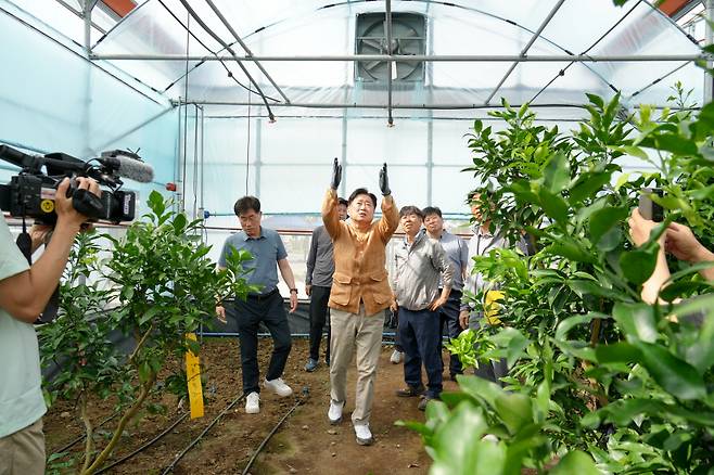 오영훈 지사가 지난 5일 농업기술원 내 태양광 이용 RE100 감귤 생산 모델 실증시설을 둘러보고 있다.