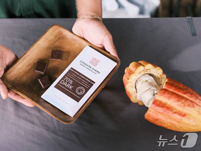 하와이에서 생산한 초콜릿 시식(하와이관광청 제공)