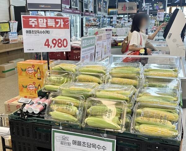 통합 이마트가 최근 'ERP(전사적 자원 관리) 통합 시스템'을 본격 가동하며 통합 매입과 통합 물류 등 효과를 보고 있다. /이마트