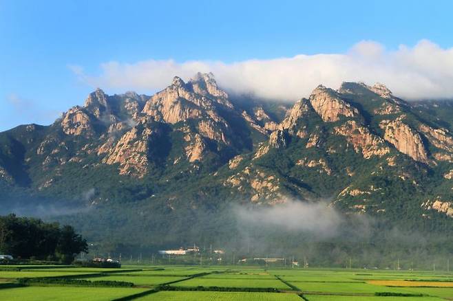 월출산 국립공원 ⓒ영암군