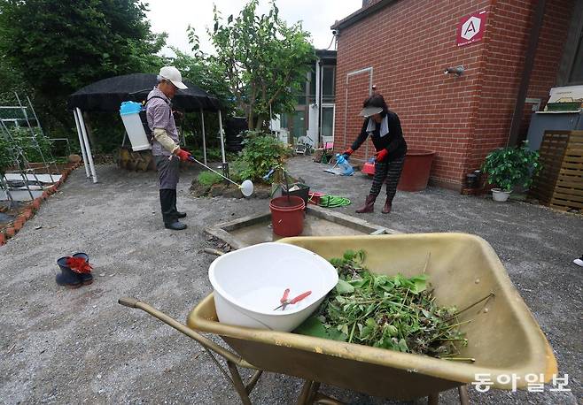 경기 파주시 문산읍의 한 마을에서 김명하 씨(64), 이해경 씨(62) 부부가 분무기를 이용해 물웅덩이와 하수구 등에 모기 방제약을 뿌리고 있다. 파주=장승윤 기자 tomato99@donga.com
