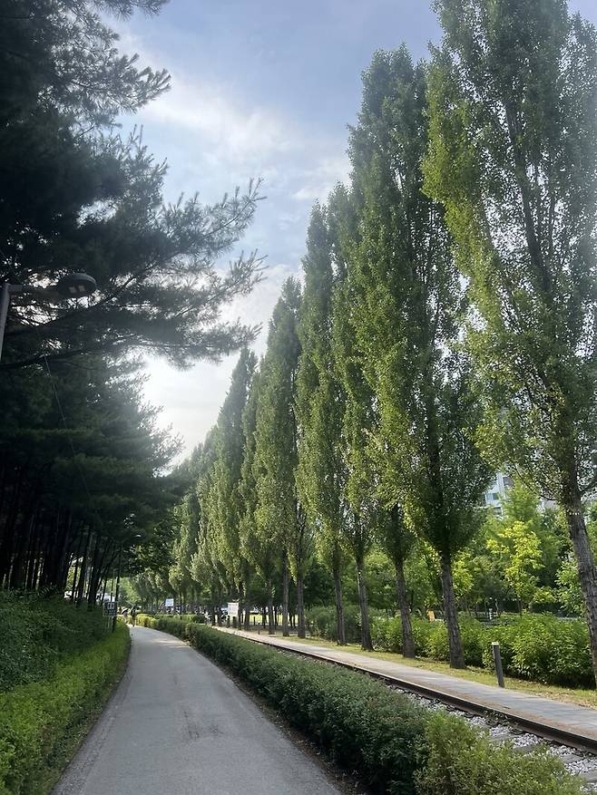 옛 철길과 숲 사이를 달리게 되는 러닝 명소인 경춘선숲길 코스. 달리면서 색다른 풍광을 만난다. 이재진 제공