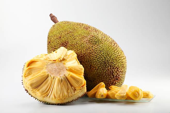 잭푸르트(jackfruit) [123RF]