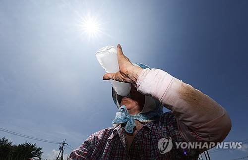 얼음물 마시며 폭염 속 밭일 [연합뉴스 제공]