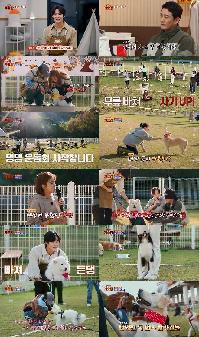 JTBC ‘집 나가면 개호강’