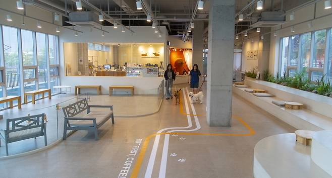 ▲ '오산동물농장테마파크' 실내 반려견 놀이터. /사진제공=경기관광공사