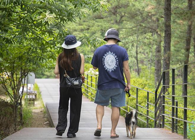 ▲&nbsp;'포천 아트밸리' 산책로. /사진제공=경기관광공사