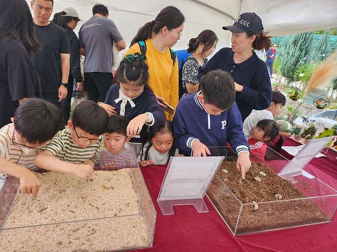 유채꽃 축제 애벌레 만지기 체험
