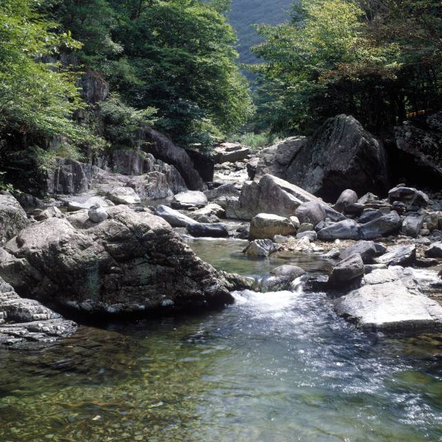 여름철 피서지로 각광을 받고 있는 내원사 계곡 전경. 양산시 제공