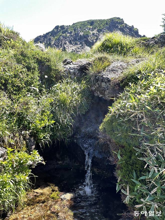 5일 제주 서귀포시 한라산 백록샘에서 시원한 물줄기가 흐르고 있다. 서귀포=송은범 기자 seb1119@donga.com