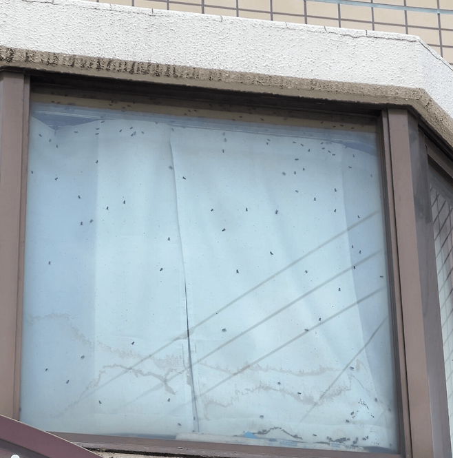 image.png 고독사 의심 신고를 한 사람.jpg