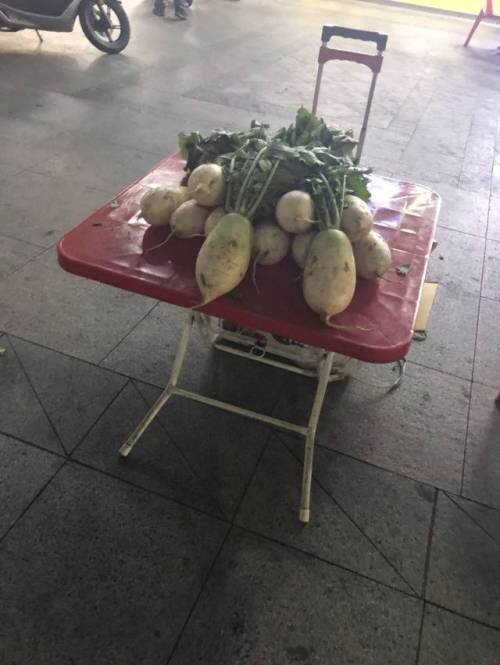 image.png 치킨 사가면 무를 무료로 주는 치킨집 .jpg