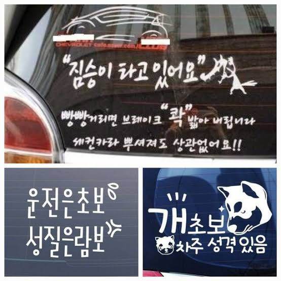 images-143.jpeg 초보운전 스티커 희망편 & 절망편 모음집.zip