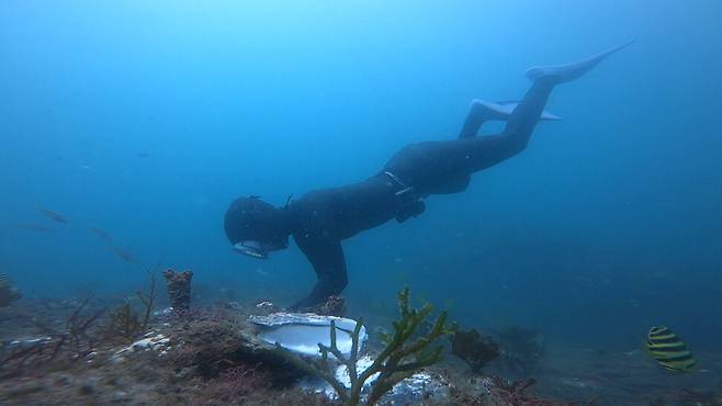 경남 거제의 4년 차 해녀 신호진씨. 신호진씨 제공