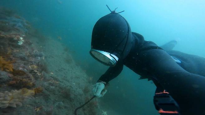 경남 거제의 4년 차 해녀 신호진씨. 신호진씨 제공