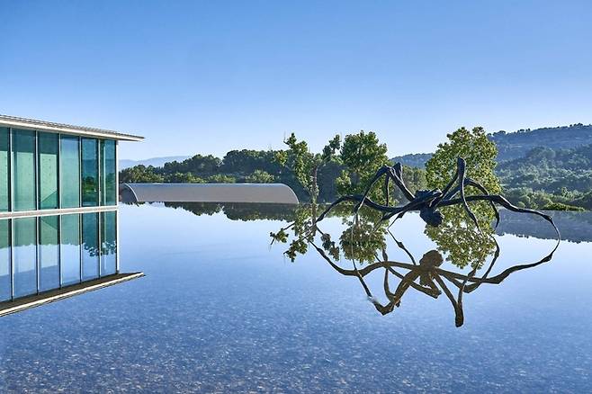 샤토 라 코스트의 입구에 세워진 안도 타다오의 아트센터와 루이스 부르주아의 ‘웅크린 거미’ [Château La Coste]