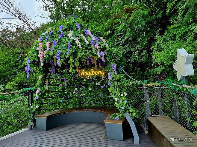 경기도 김포시 월곶면 조강리 해발 155m 고지 일대에 자리한 ‘애기봉 평화생태공원’이 평화와 경제가 공존하는 시험장으로 자리잡아가고 있다. [신대원 기자]