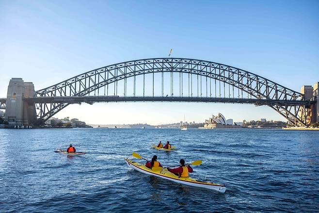 시드니 바이 카약 에코 투어