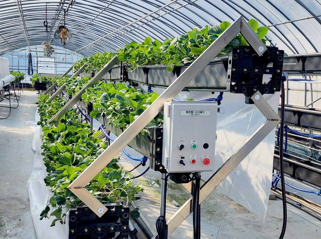 김진구 농촌진흥청 국립원예특작과학원 시설원예연구소 농업연구사가 개발한 ‘회전식 3단 베드(고설 재배시설)’. 장치엔 딸기가 심겨져 있다. 농촌진흥청