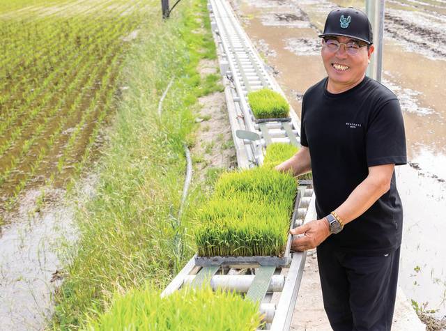 레일에 육묘상자를 올려놓으면 원하는 위치에 내려놓는 ‘벼 육묘상자 자동이송장치’로 노동력을 절감한다.