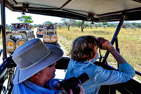 사파리 여행. 모든 여행자들은 가이드가 동행하는 사파리 프로그램을 이용해야 한다. 차량은 동물에게 부담을 주지 않도록 적당한 간격을 유지하고, 사람은 차에서 내릴 수 없다. 차량과 사람에게 적응된 동물들은 웬만해선 달아나지 않는다. 오히려 그들이 느긋하게 사람을 구경한다.