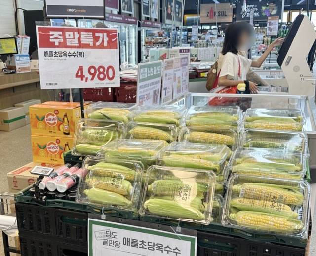 이마트에브리데이 매장에 '이색 인기 농산물' 초당옥수수가 판매되고 있다. 사진 제공=이마트