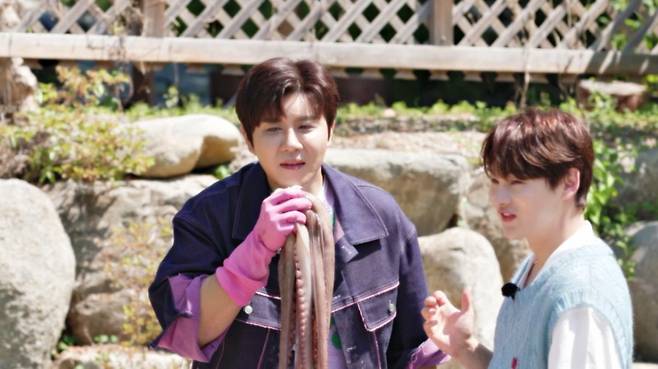 [사진=크레아 스튜디오]