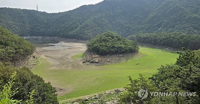 바닥 드러낸 강릉 식수원 오봉저수지 상류 (강릉=연합뉴스) 유형재 기자 = 장마철이지만 강원 동해안에는 마른장마로 가뭄이 지속돼 피해가 우려되는 가운데 7일 강릉시민 식수원인 오봉저수지 상류가 바닥을 드러내고 있다.
    오봉저수지 저수율은 현재 33.3%로 가뭄이 극심했던 작년의 52.2%, 평년의 65%보다도 매우 낮은 수준이다. 2025.7.7 yoo21@yna.co.kr