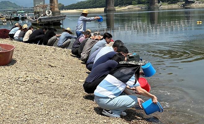 치어 방류 [광양시 제공. 재판매 및 DB 금지]