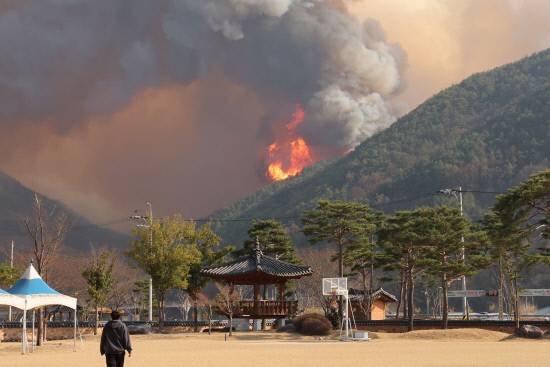 산청 시천에서 대형 산불이 발생한지 100여 일이 지났다.&nbsp;