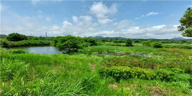 2023년 7월의 모습 / 사진=오은주