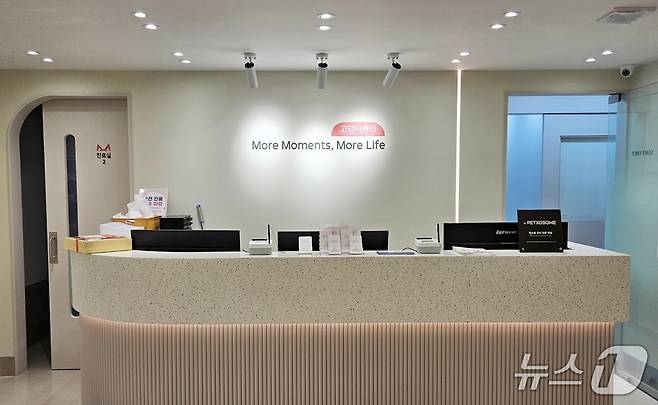 모모동물의료센터 고양이센터 ⓒ 뉴스1 최서윤 기자