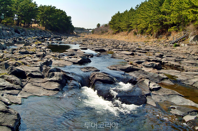 강정천유원지/사진-제주관광공사