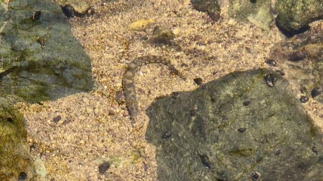 3fb8c32fffd711ab6fb8d38a4583746f658ec03ff29d7174d667ce5e4d542a62b100c31f9e3e39fb5dc787b7