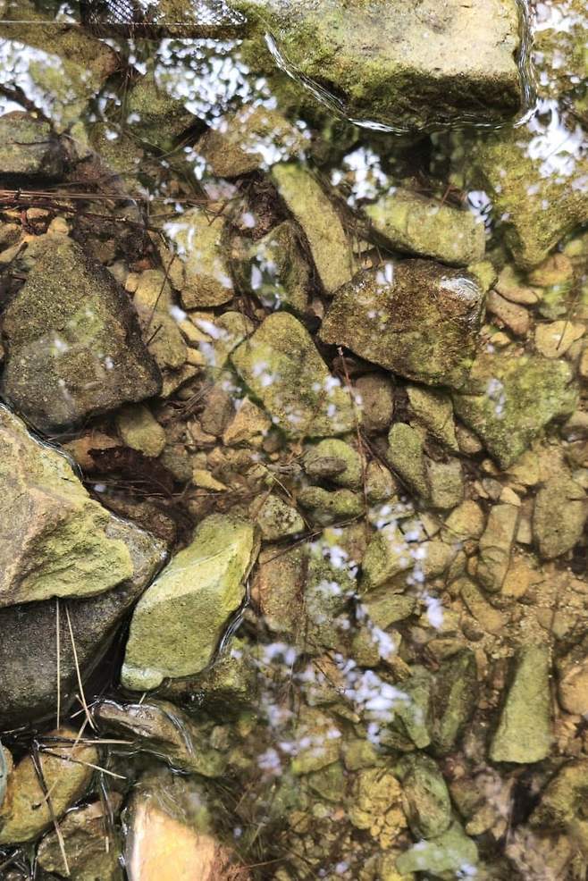 3fb8c32fffd711ab6fb8d38a4383746fc583561428b935afe2b247f1dd5682c204d5e15a8093849905bf202c