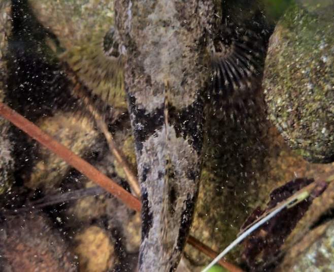 3fb8c32fffd711ab6fb8d38a4e83746fc0da9880037bccd2fecd50cff8a776e58da2b4ac128a7f09c2492788