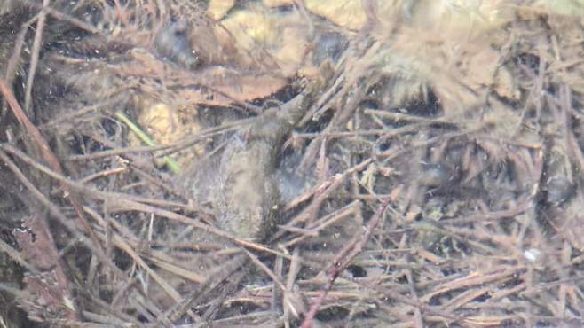 3fb8c32fffd711ab6fb8d38a4789766d8343cc1737b75e760ee8a188c6889a2d97f46a62920cbc5b8447312915