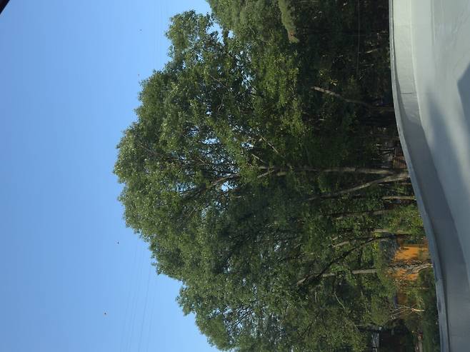 IMG_4333.dng.ren.jpg 포텐에 올라온 서울휴양펜션 \'수락휴\' 후기