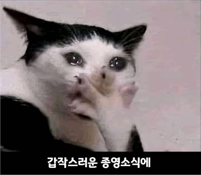 21.jpg 너무 슬프다는 어느 애니메이션의 마지막화.jpg