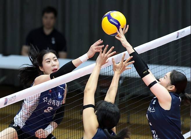 8일 충북 단양국민체육센터에서 열린 2025 한국실업배구연맹·프로배구 퓨처스 챔프전에서 지에스(GS) 칼텍스와 수원시청이 경기하고 있다. 한국실업배구연맹 제공